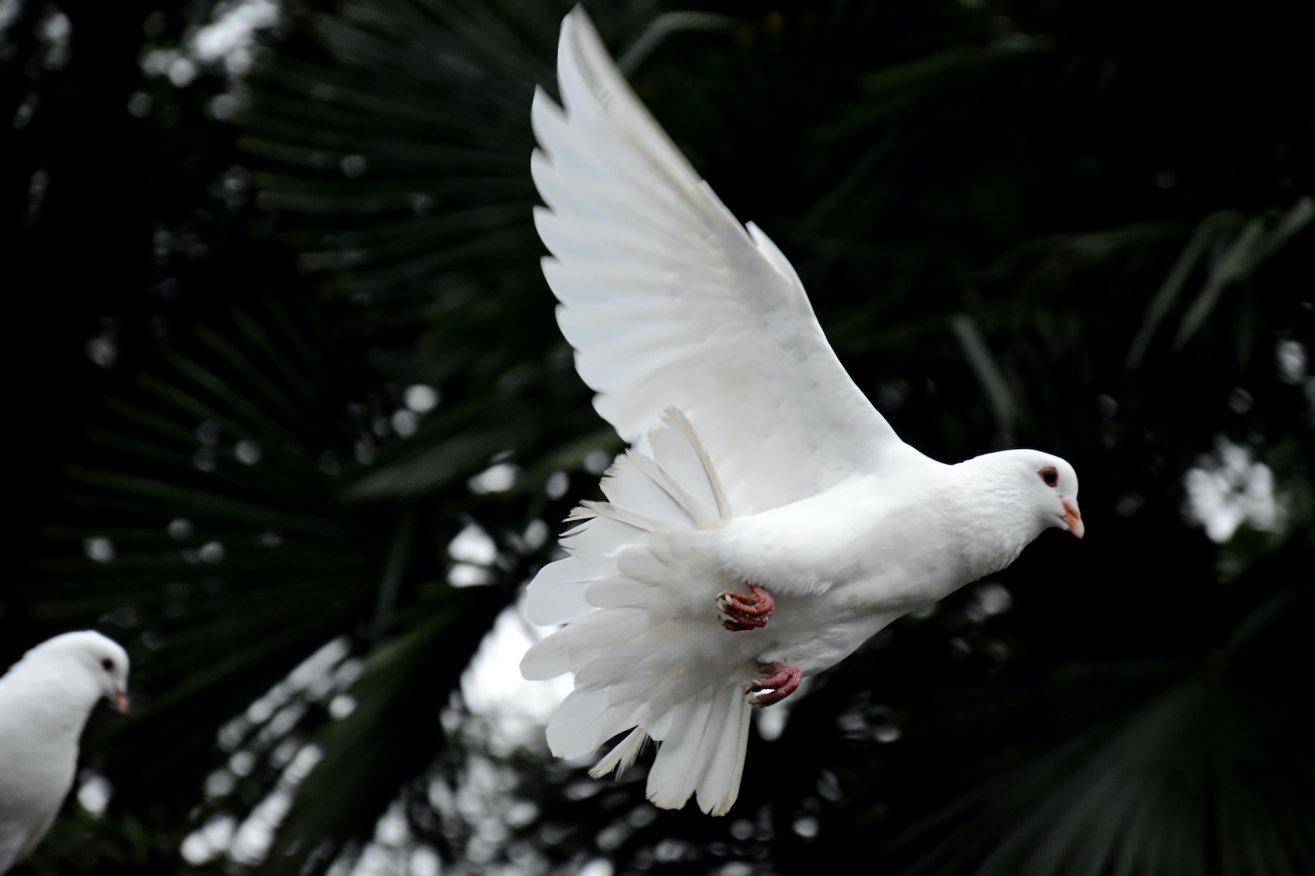 The Holy Spirit: Empowering Presence and Divine Guidance